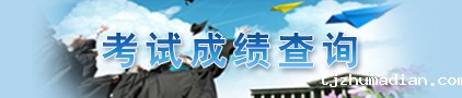 考试成绩查询